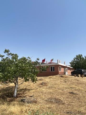 Gite Cedre Gouraud Hotell Azrou Exteriör bild